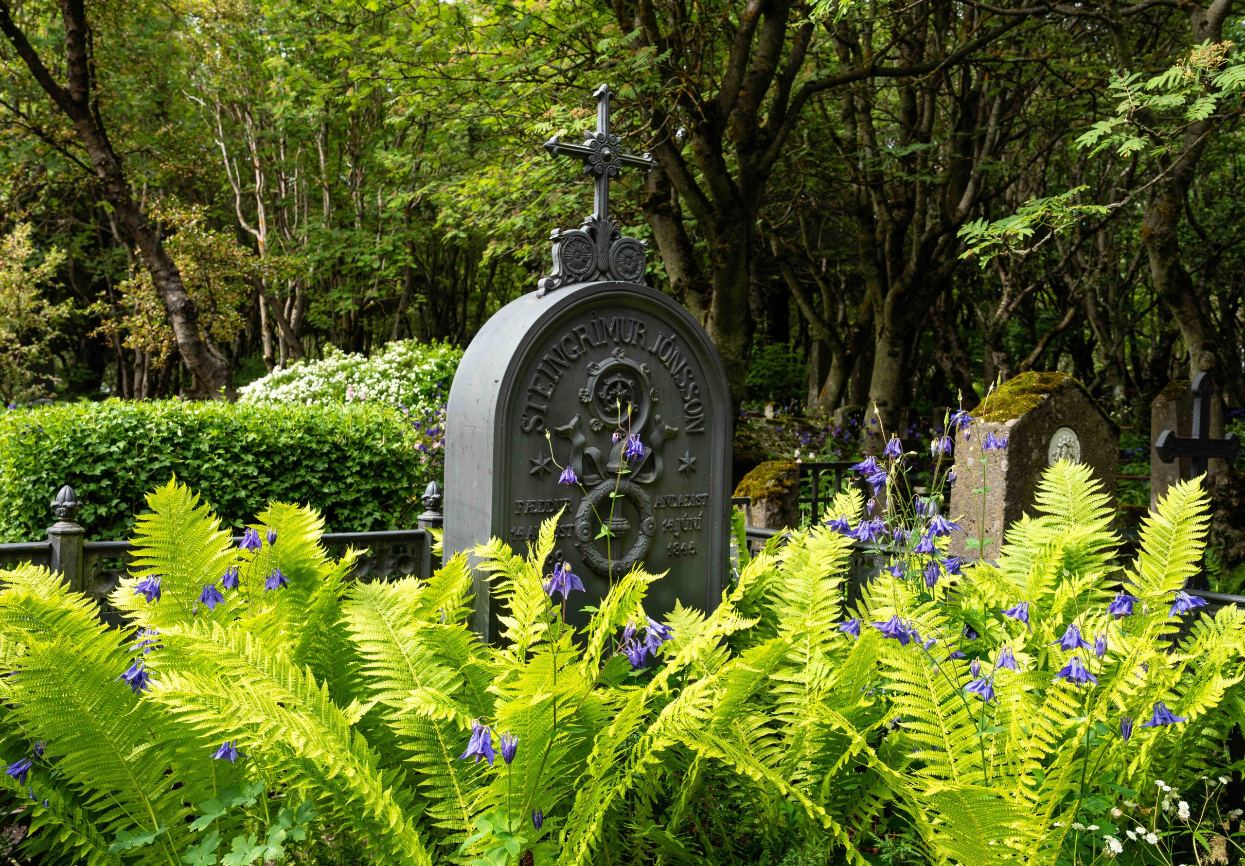 Iceland 2019 Graveyard